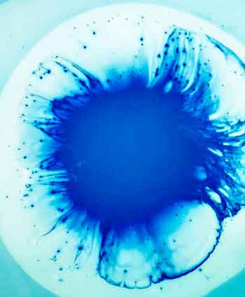 Illustration Pas globe